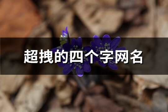超拽的四個字網名(396個)