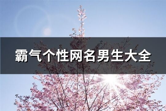 霸氣個(gè)性網(wǎng)名男生大全(共450個(gè))