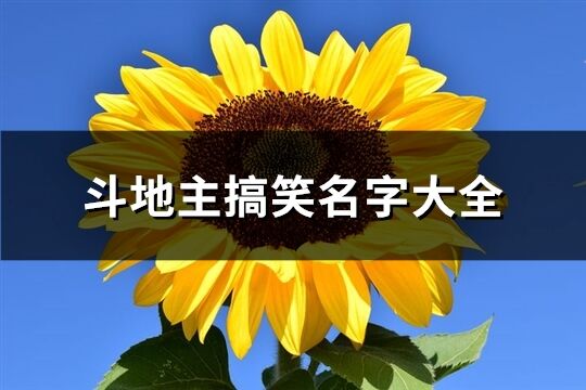 斗地主搞笑名字大全(精選193個)