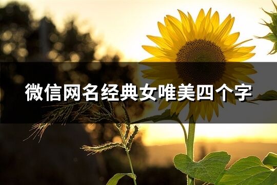 微信網名經典女唯美四個字(共388個)