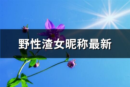 野性渣女昵稱最新(共114個)