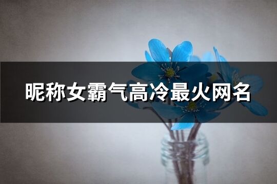 昵稱女霸氣高冷最火網名(優選591個)