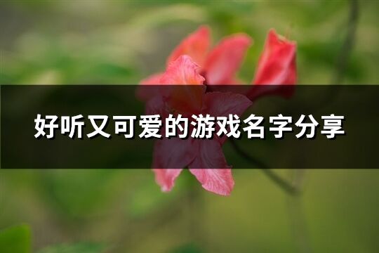 好聽又可愛的游戲名字分享(365個(gè))