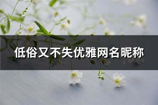 低俗又不失優(yōu)雅網(wǎng)名昵稱(精選254個(gè))