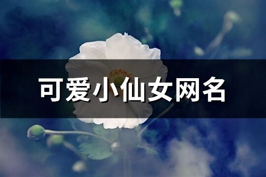 可愛小仙女網名(精選506個)