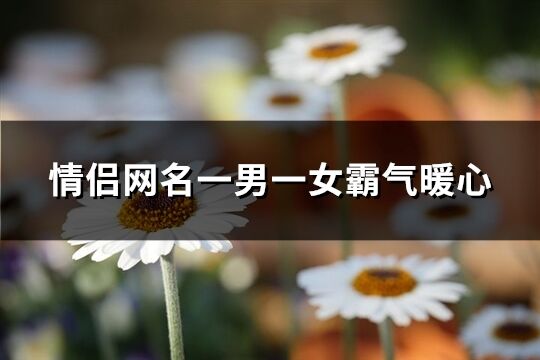 情侶網名一男一女霸氣暖心(優選62個)