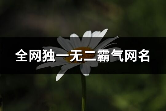 全網(wǎng)獨一無二霸氣網(wǎng)名(優(yōu)選625個)