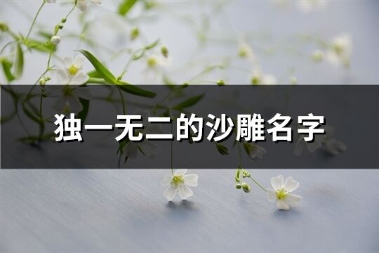 獨一無二的沙雕名字(共127個)