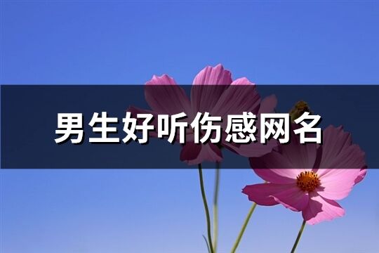 男生好聽傷感網名(精選611個)