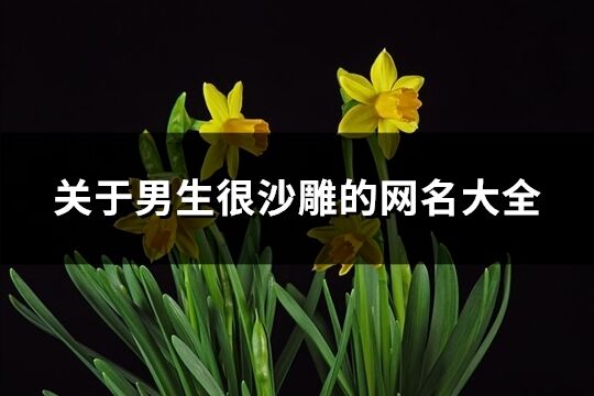關于男生很沙雕的網名大全(優選410個)