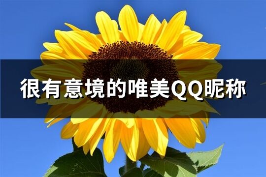 很有意境的唯美QQ昵稱(共165個(gè))