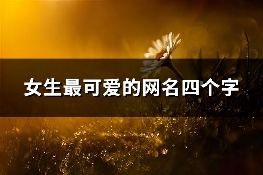 女生最可愛(ài)的網(wǎng)名四個(gè)字(828個(gè))