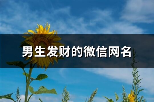 男生發財的微信網名(444個)