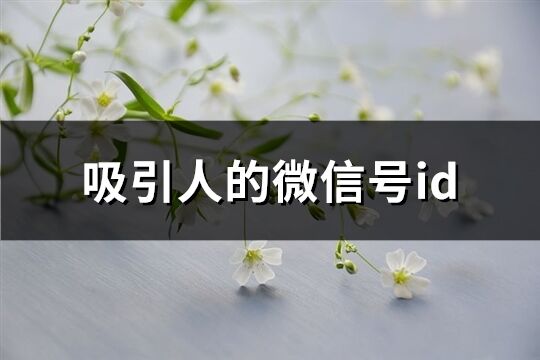 吸引人的微信號(hào)id(精選338個(gè))