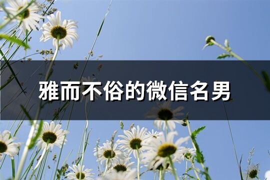 雅而不俗的微信名男(優(yōu)選265個(gè))