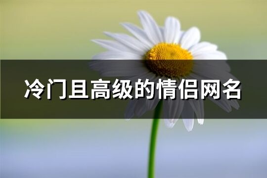 冷門且高級的情侶網名(精選103個)