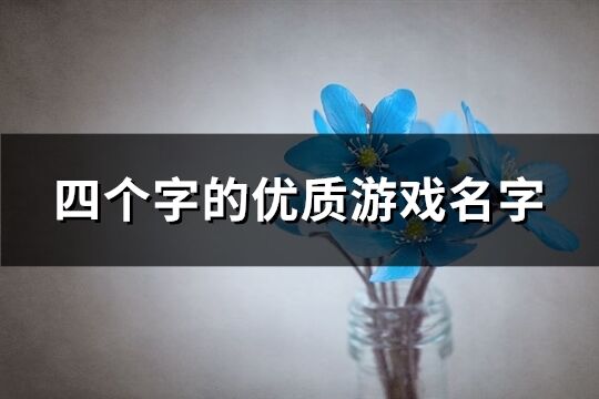 四個(gè)字的優(yōu)質(zhì)游戲名字(共982個(gè))