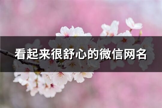 看起來很舒心的微信網(wǎng)名(197個)