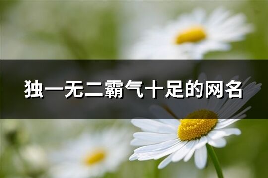 獨一無二霸氣十足的網名(精選303個)