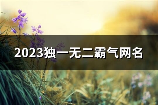 2023獨(dú)一無(wú)二霸氣網(wǎng)名(精選276個(gè))