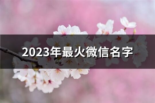 2023年最火微信名字(共260個)