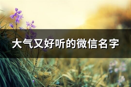 大氣又好聽的微信名字(優(yōu)選951個)