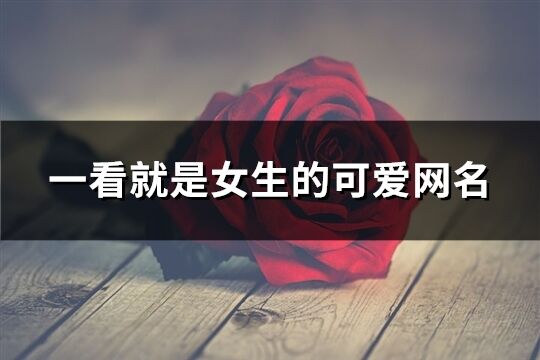 一看就是女生的可愛網名(精選781個)