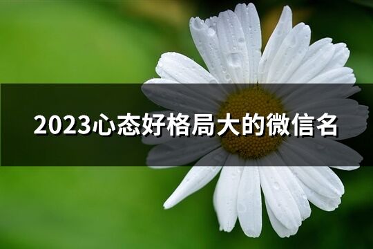 2023心態好格局大的微信名(405個)