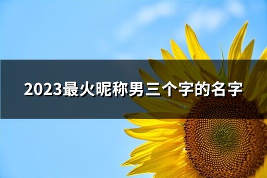 2023最火昵稱男三個(gè)字的名字(共310個(gè))