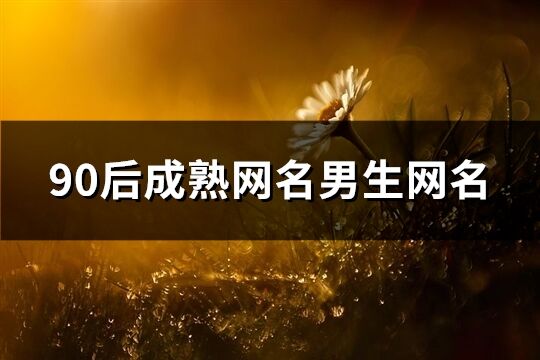 90后成熟網名男生網名(精選343個)