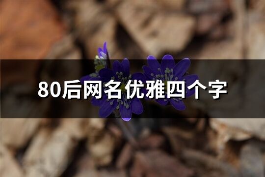 80后網名優雅四個字(共575個)