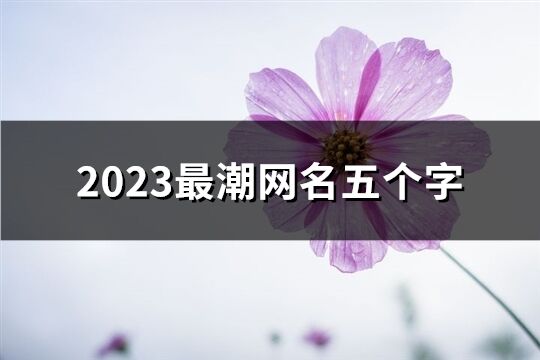 2023最潮網名五個字(506個)