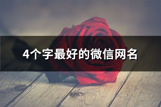 4個字最好的微信網名(精選782個)