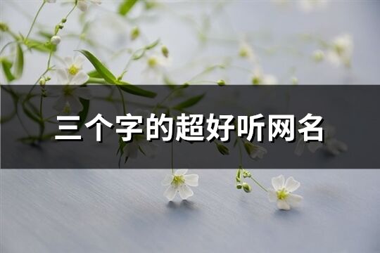 三個字的超好聽網名(共1267個)