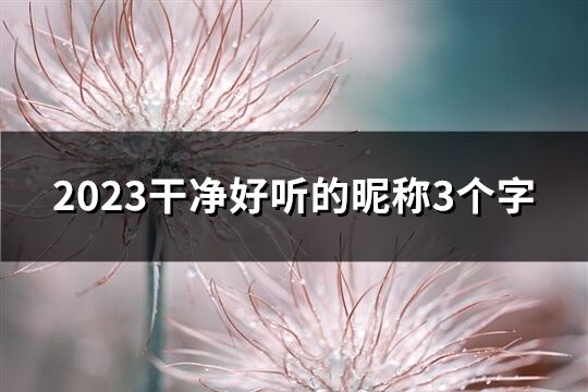 2023干凈好聽的昵稱3個字(共1701個)