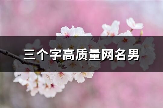三個(gè)字高質(zhì)量網(wǎng)名男(297個(gè))