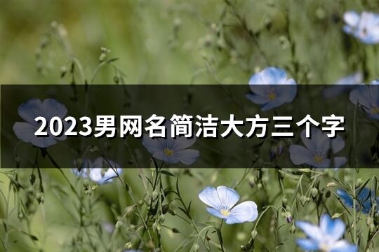 2023男網名簡潔大方三個字(409個)