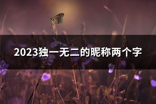 2023獨一無二的昵稱兩個字(優(yōu)選1047個)