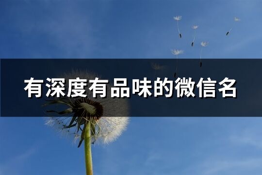 有深度有品味的微信名(共476個)