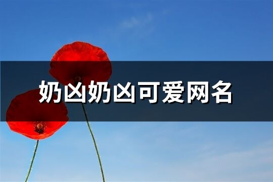 奶兇奶兇可愛網名(共241個)