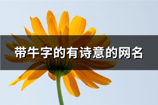 帶牛字的有詩意的網名(精選86個)
