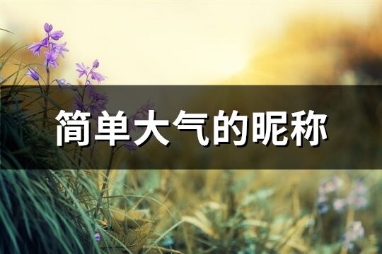 簡單大氣的昵稱(共984個)