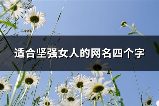 適合堅強女人的網名四個字(240個)