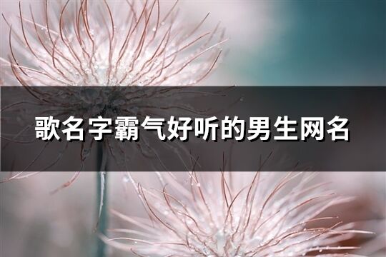 歌名字霸氣好聽的男生網名(454個)