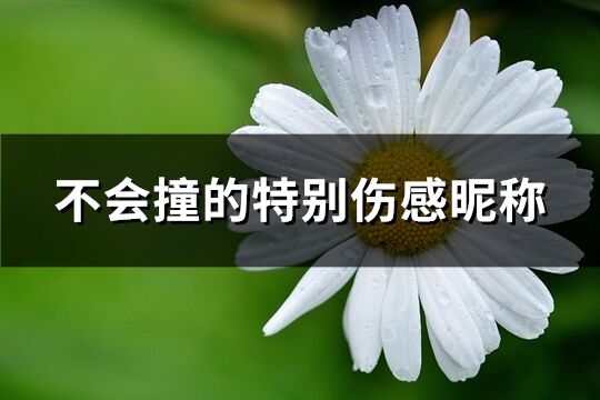 不會(huì)撞的特別傷感昵稱(chēng)(精選83個(gè))
