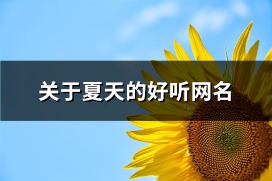 關(guān)于夏天的好聽網(wǎng)名(優(yōu)選232個(gè))