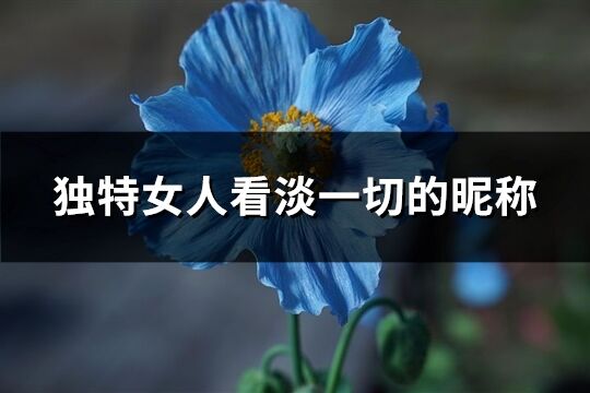 獨特女人看淡一切的昵稱(1135個)