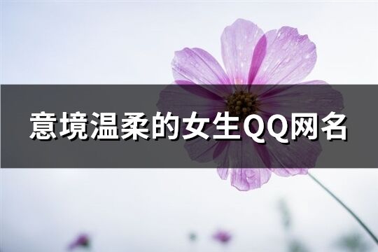 意境溫柔的女生QQ網名(303個)