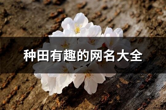 種田有趣的網(wǎng)名大全(精選222個(gè))