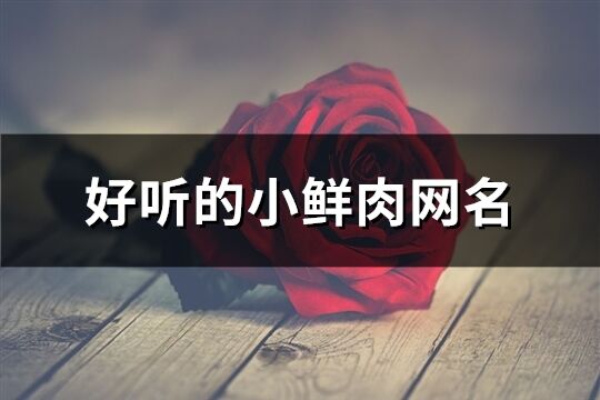 好聽(tīng)的小鮮肉網(wǎng)名(共492個(gè))